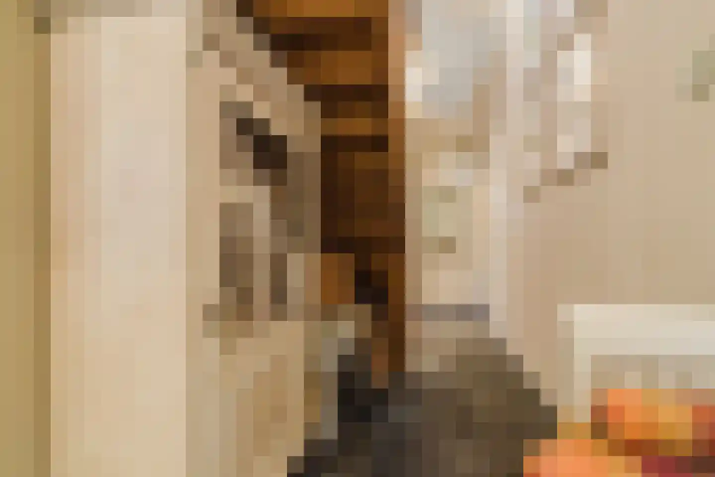 Marijkestraat 14 Bosschenhoofd thumbnail 48