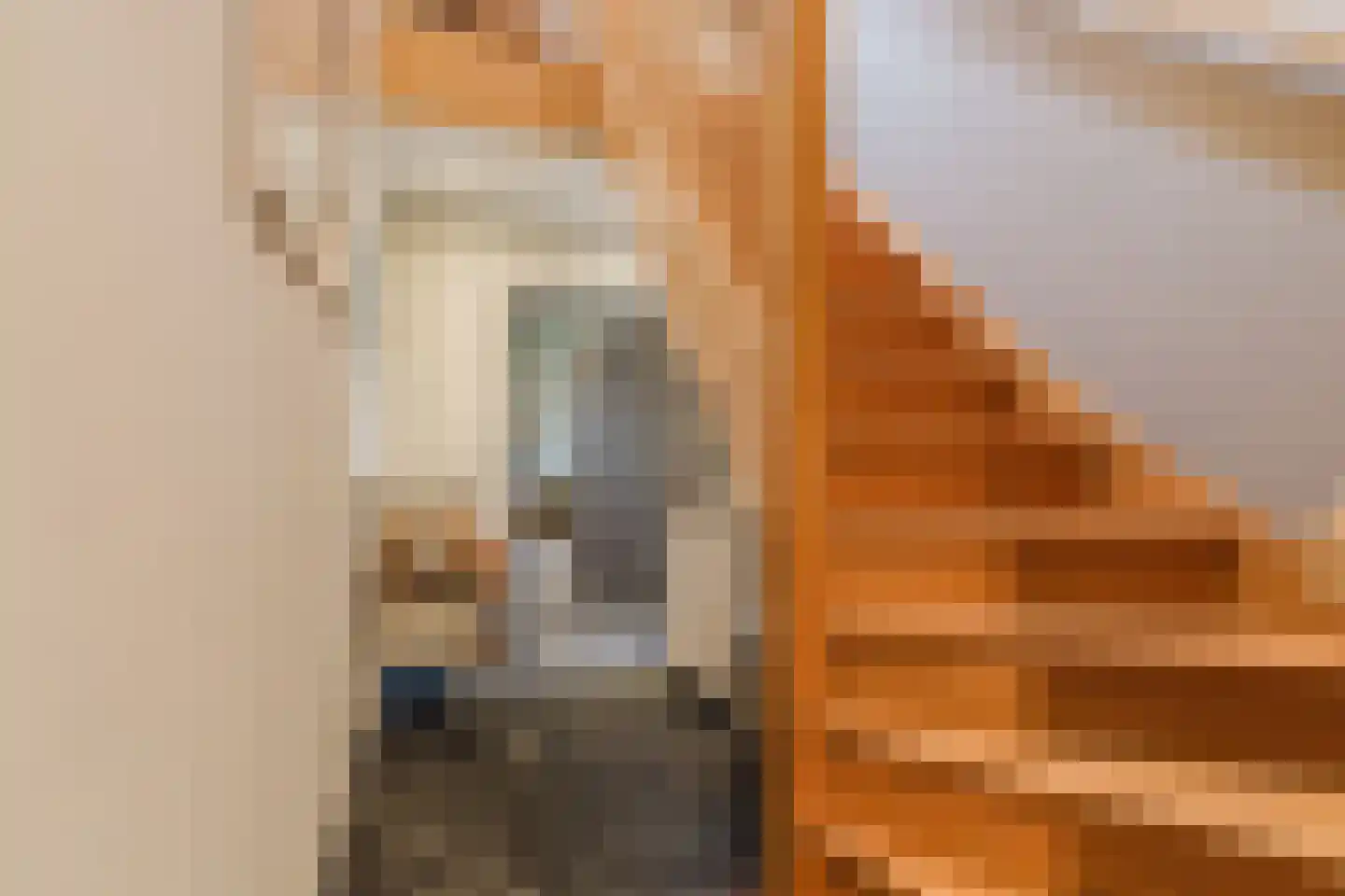 Marijkestraat 14 Bosschenhoofd thumbnail 49