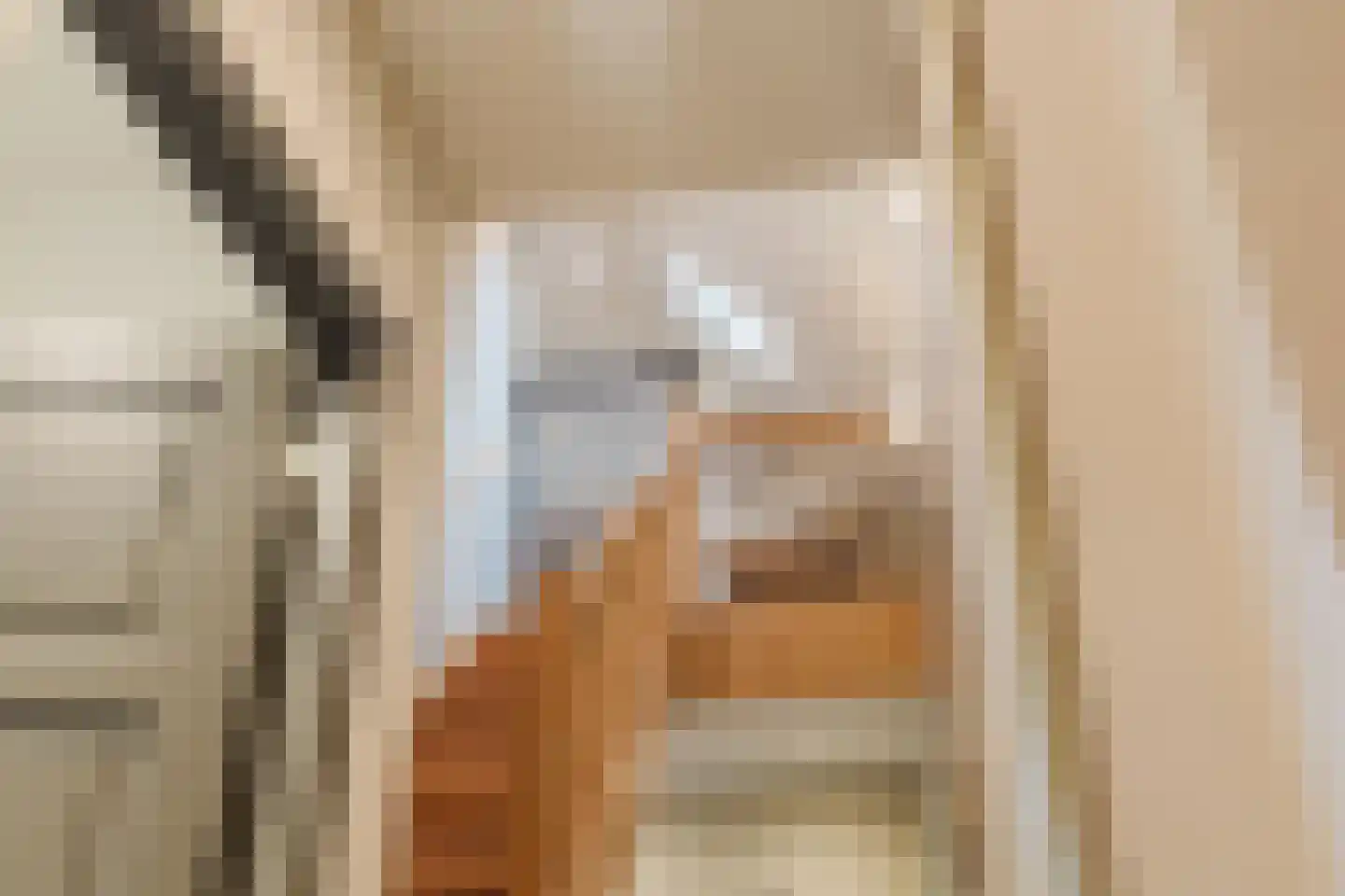 Marijkestraat 14 Bosschenhoofd thumbnail 51