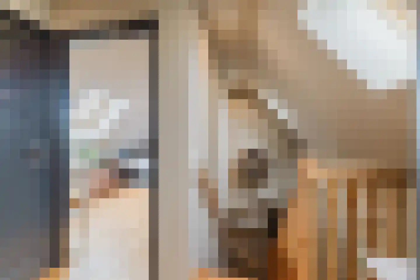 Marijkestraat 14 Bosschenhoofd thumbnail 54