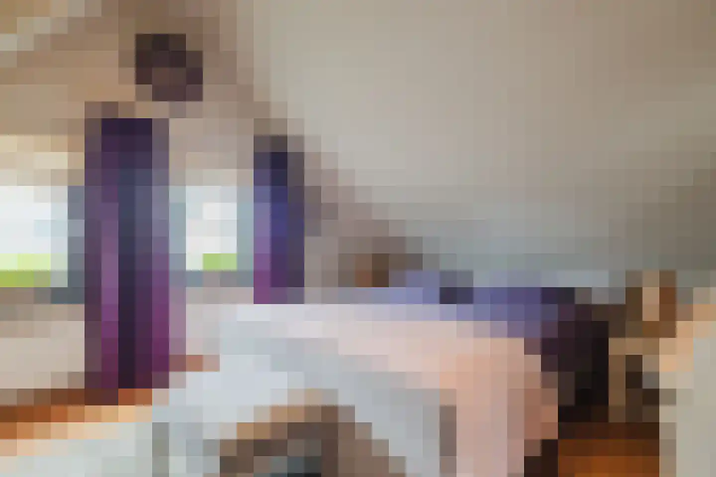 Marijkestraat 14 Bosschenhoofd thumbnail 57
