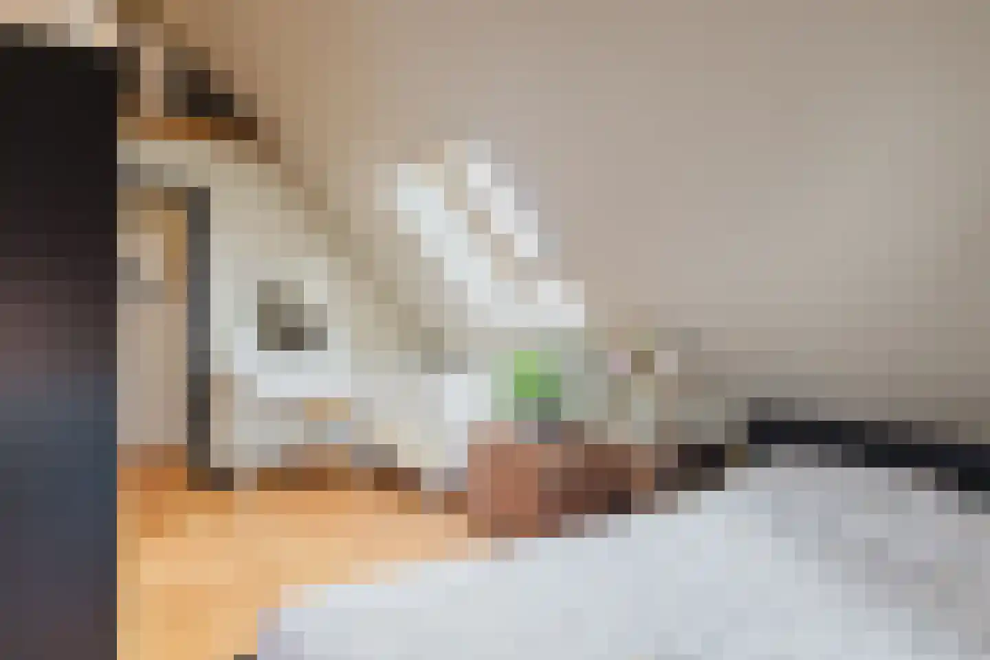 Marijkestraat 14 Bosschenhoofd thumbnail 65