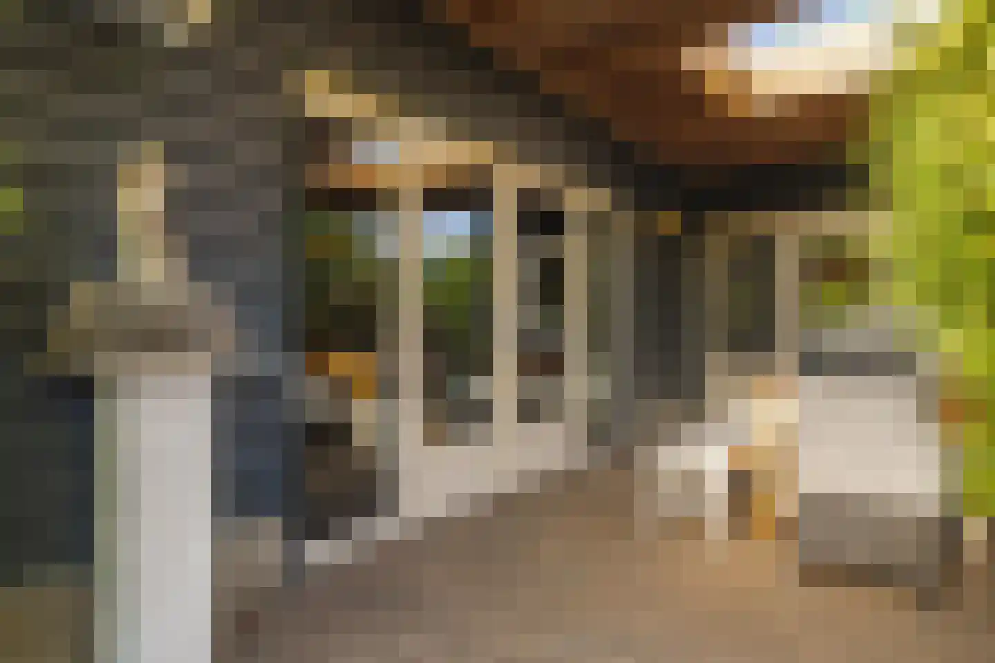 Marijkestraat 14 Bosschenhoofd thumbnail 68