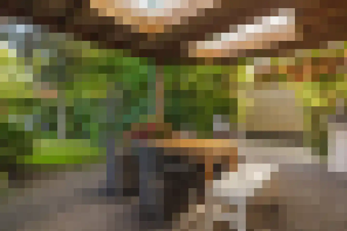 Marijkestraat 14 Bosschenhoofd thumbnail 69