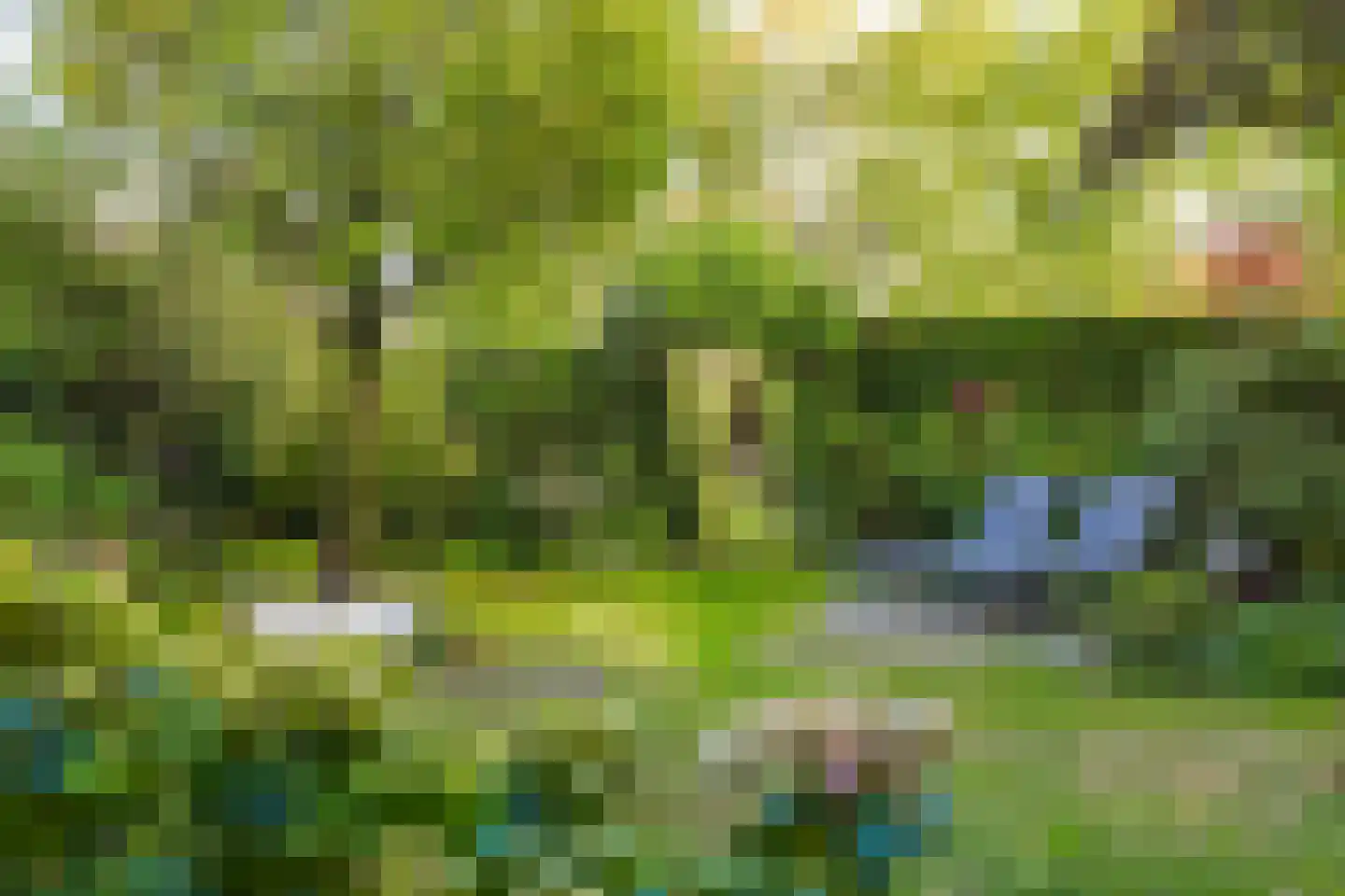 Marijkestraat 14 Bosschenhoofd thumbnail 71