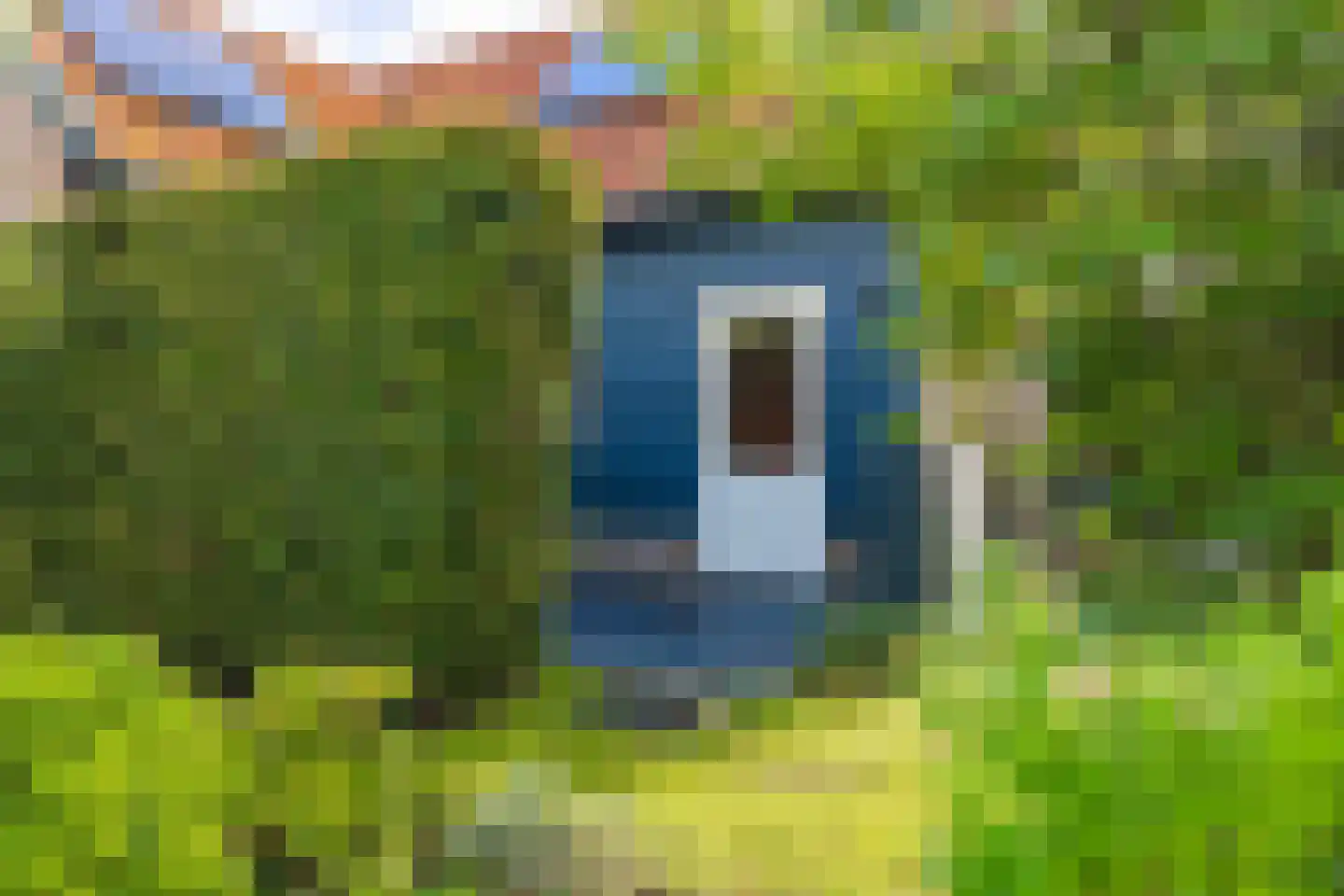 Marijkestraat 14 Bosschenhoofd thumbnail 75