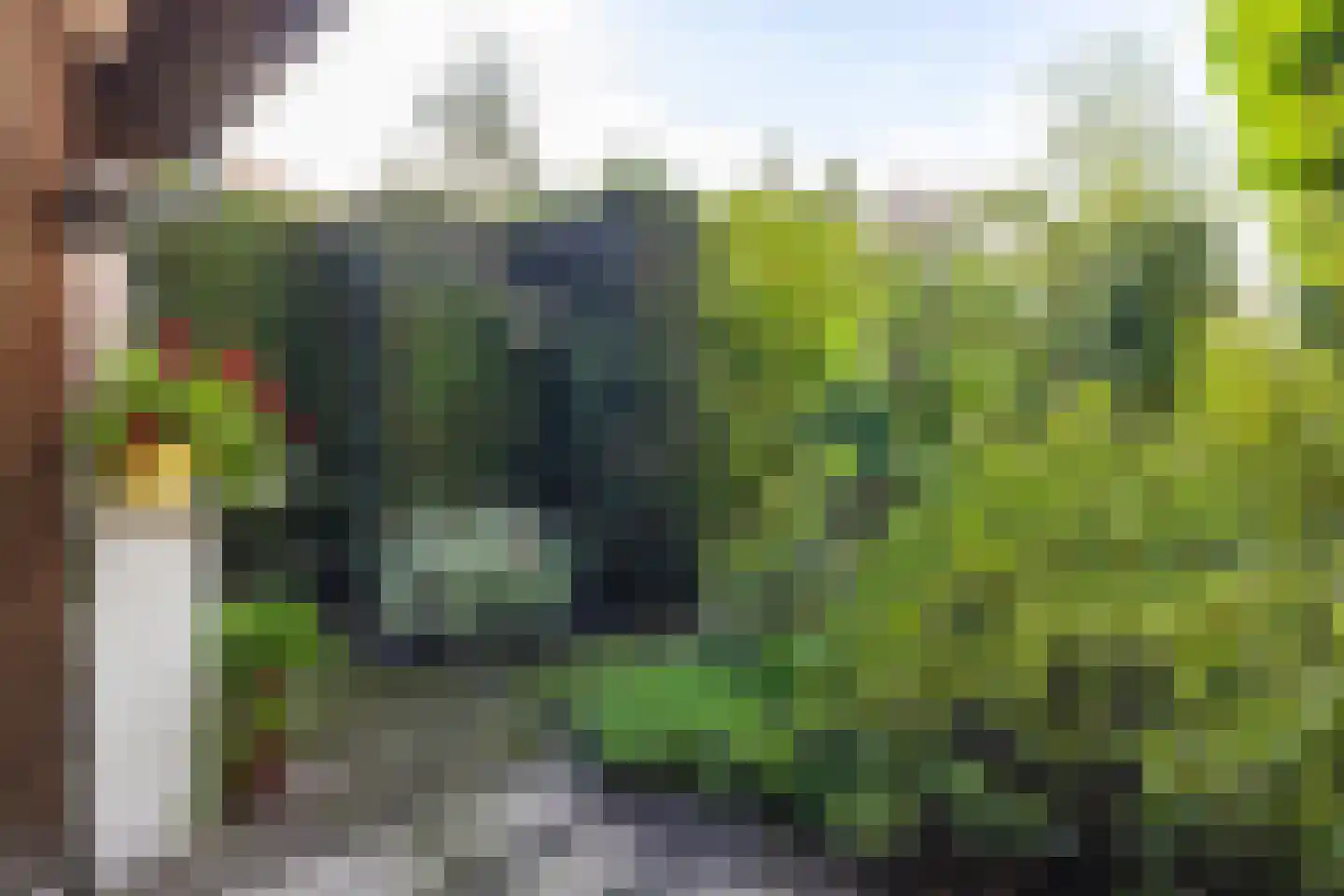 Marijkestraat 14 Bosschenhoofd thumbnail 78