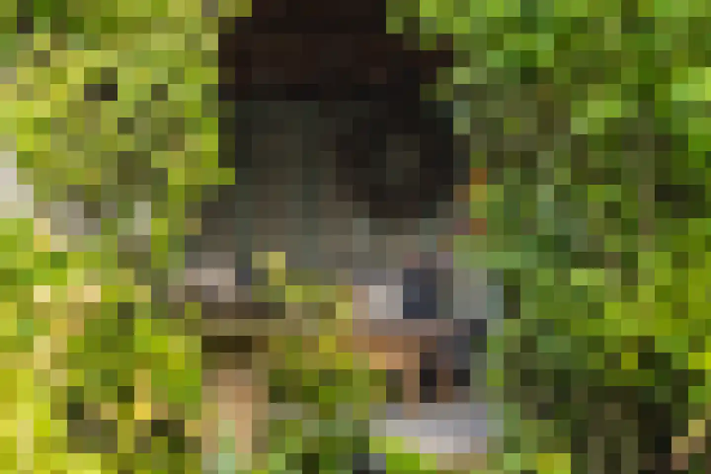 Marijkestraat 14 Bosschenhoofd thumbnail 79