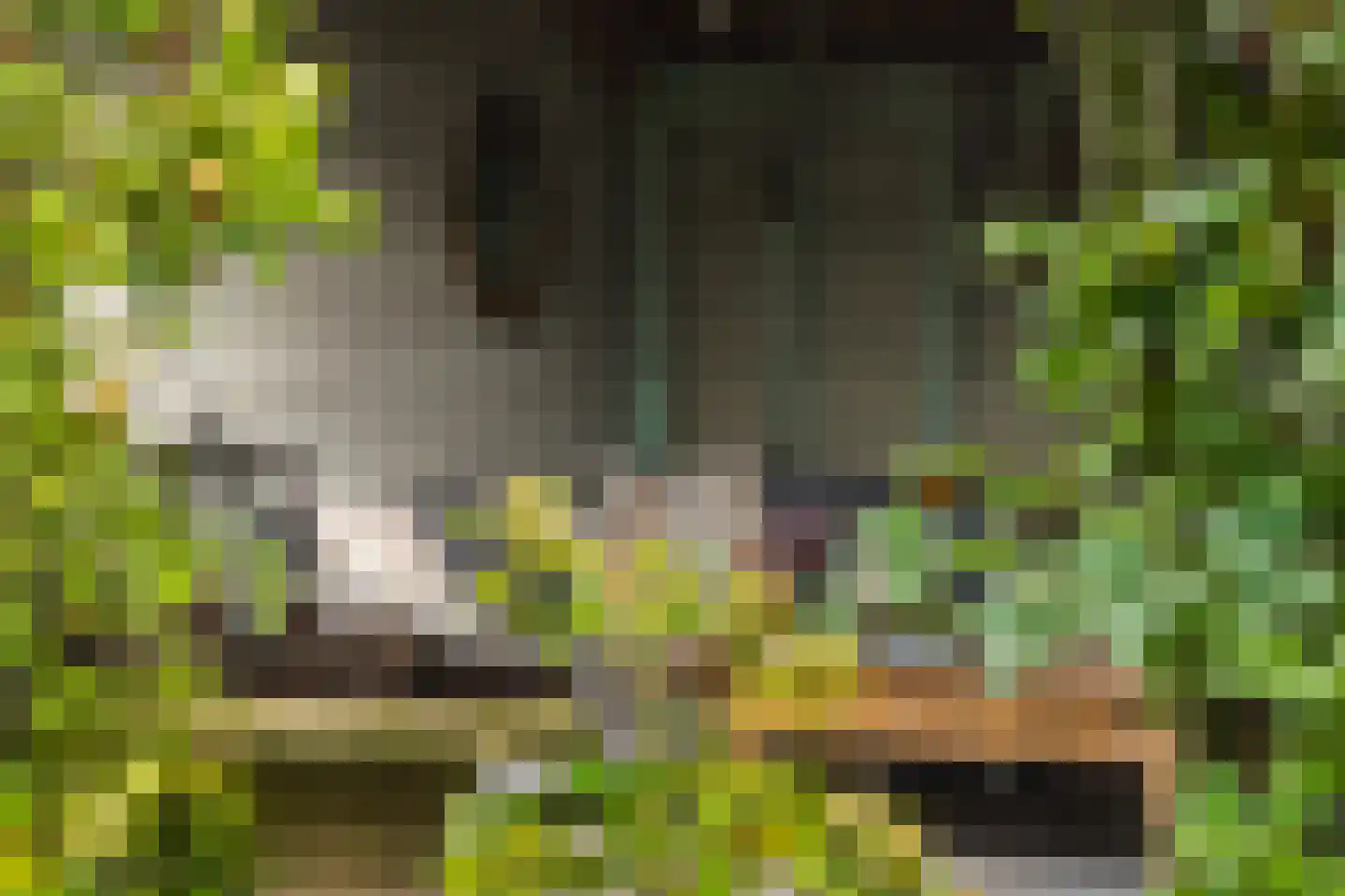 Marijkestraat 14 Bosschenhoofd thumbnail 80