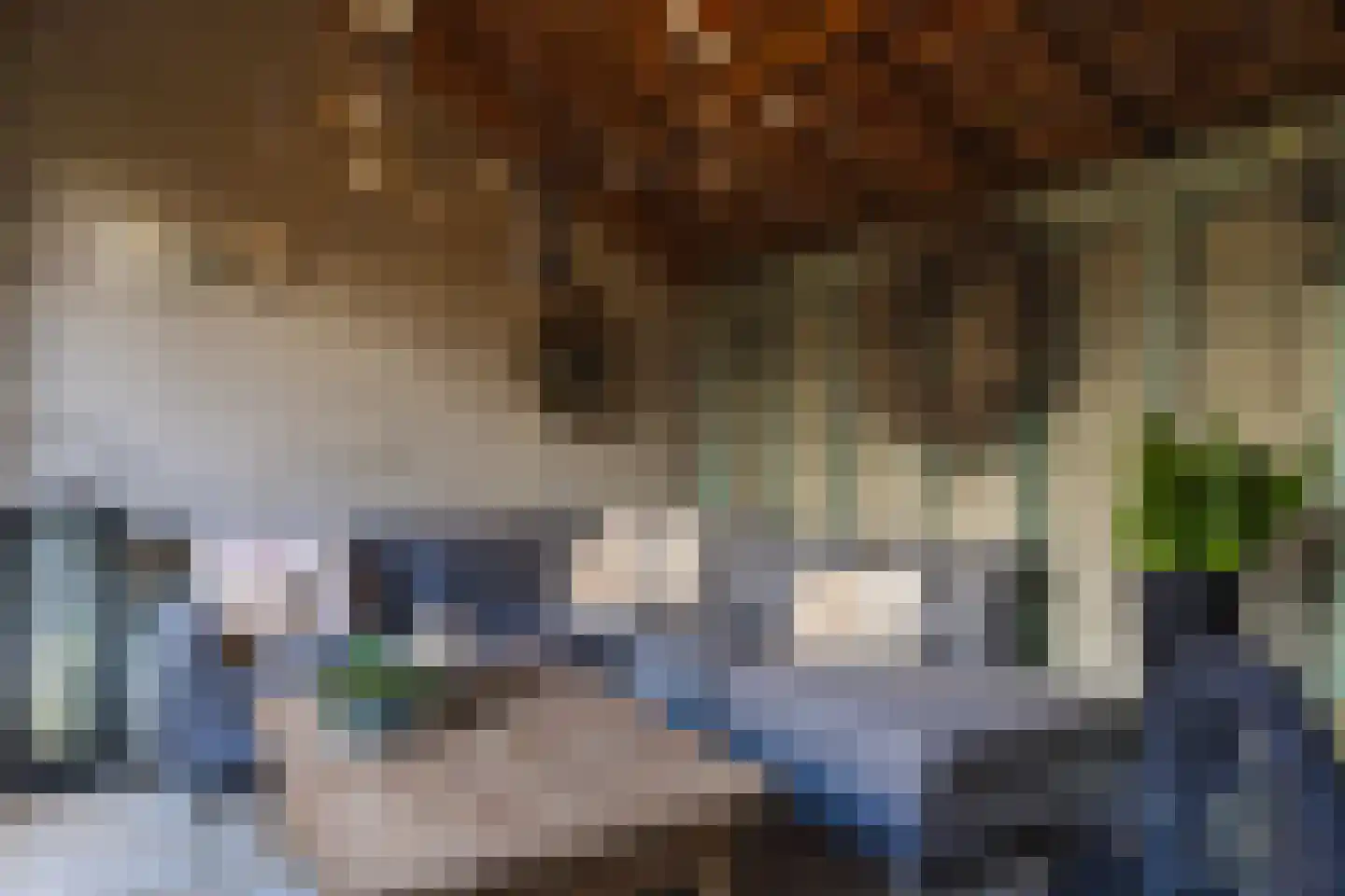 Marijkestraat 14 Bosschenhoofd thumbnail 83
