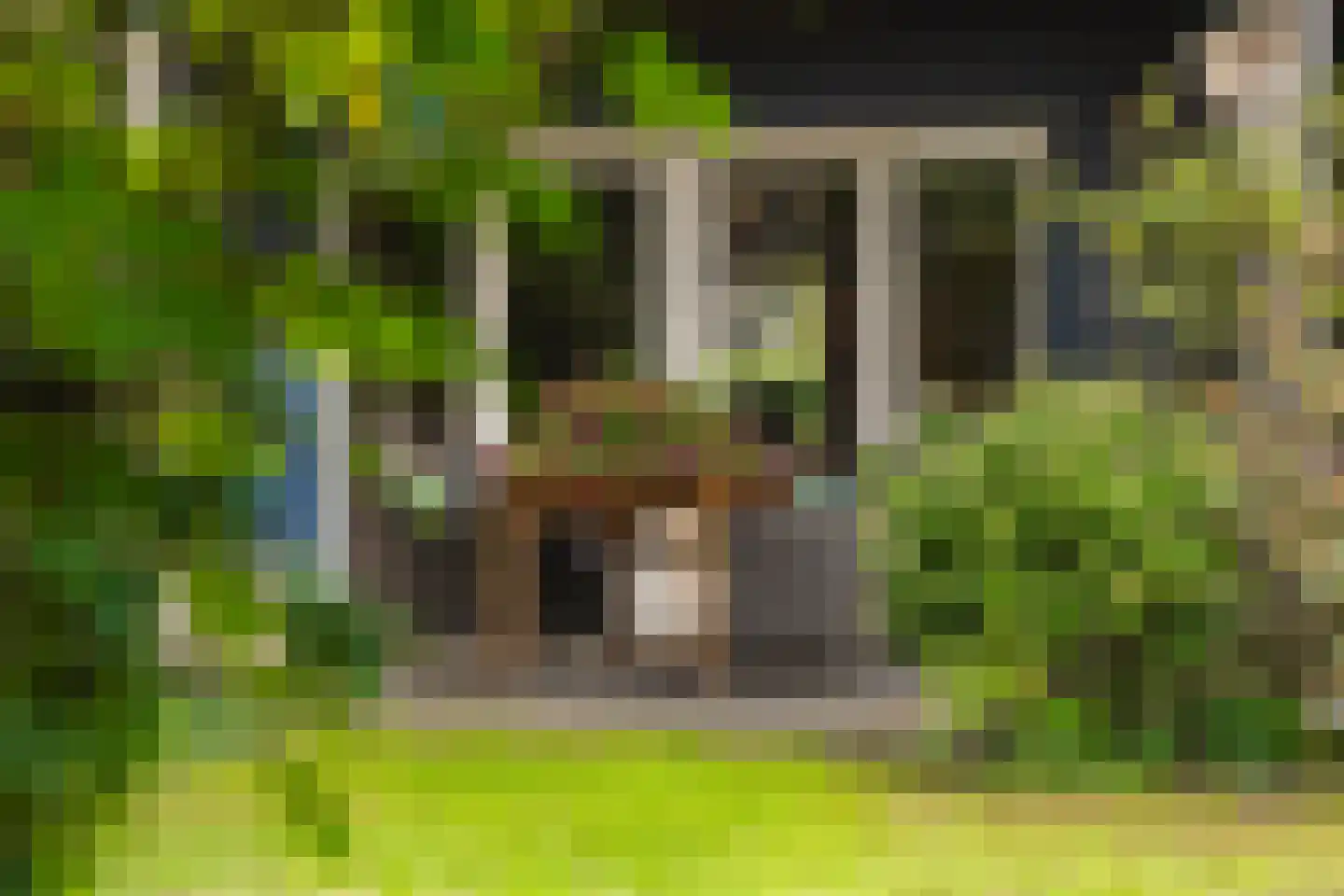 Marijkestraat 14 Bosschenhoofd thumbnail 9