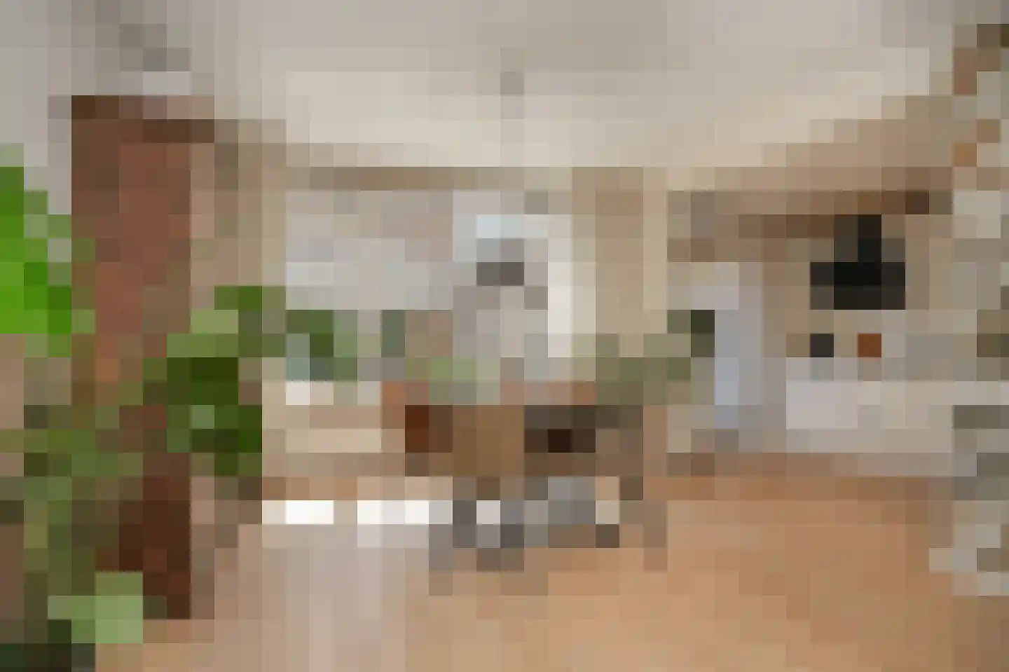 Marijkestraat 16 Dreumel thumbnail 10