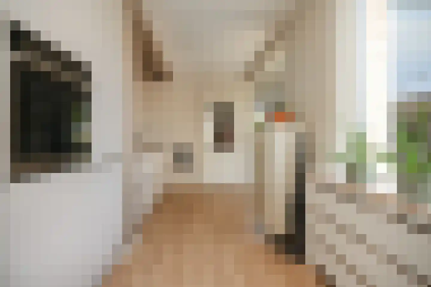 Marijkestraat 16 Dreumel thumbnail 16