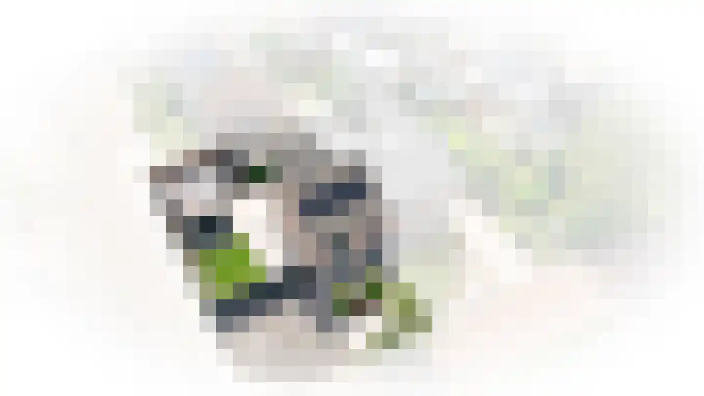 Marijkestraat 16 Dreumel thumbnail 44