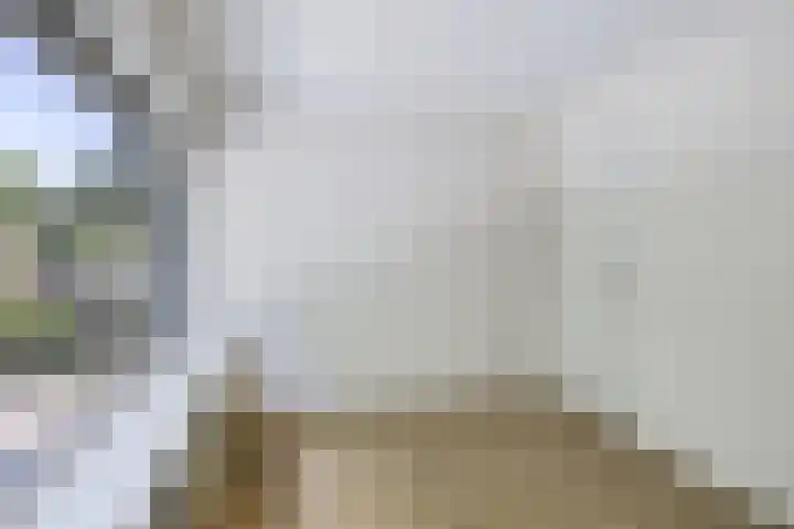 Marijkestraat 16 Son en Breugel thumbnail 11