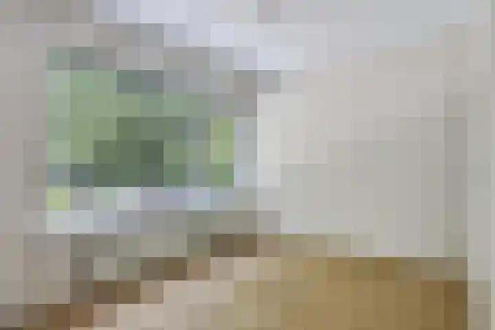 Marijkestraat 16 Son en Breugel thumbnail 12