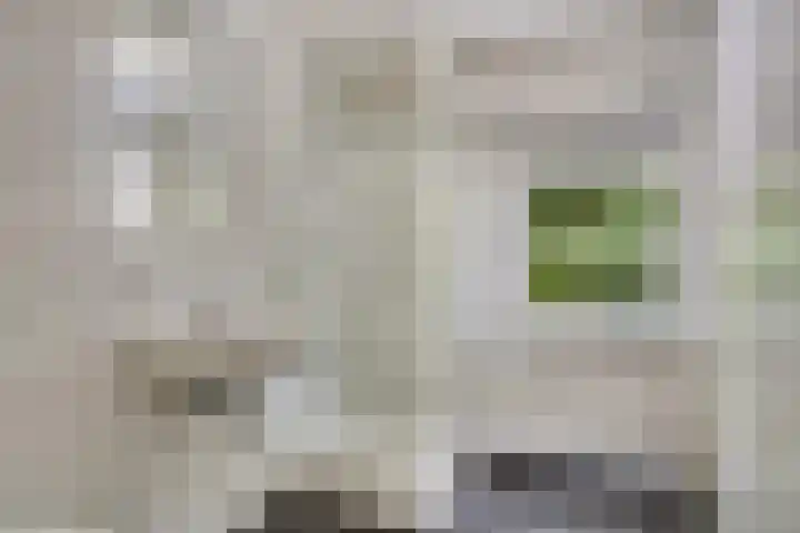 Marijkestraat 16 Son en Breugel thumbnail 13
