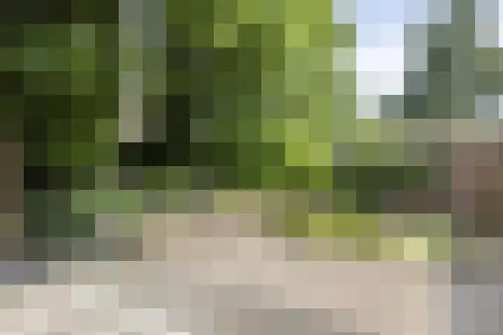 Marijkestraat 16 Son en Breugel thumbnail 16