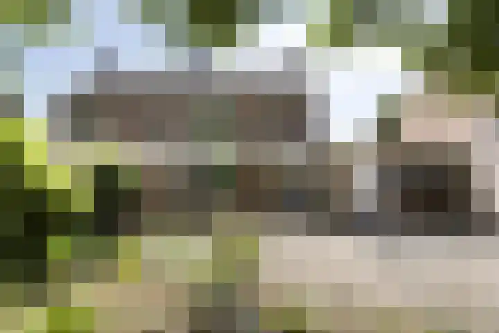 Marijkestraat 16 Son en Breugel thumbnail 17