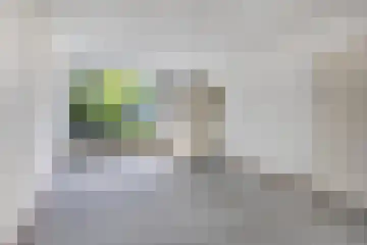 Marijkestraat 16 Son en Breugel thumbnail 4