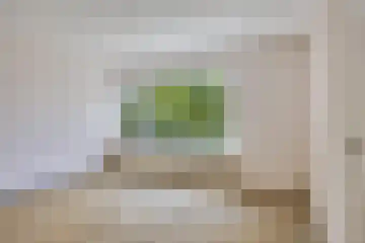 Marijkestraat 16 Son en Breugel thumbnail 8