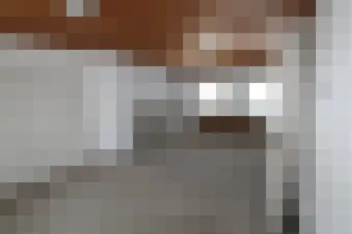 Marijkestraat 17 St. Willebrord thumbnail 10