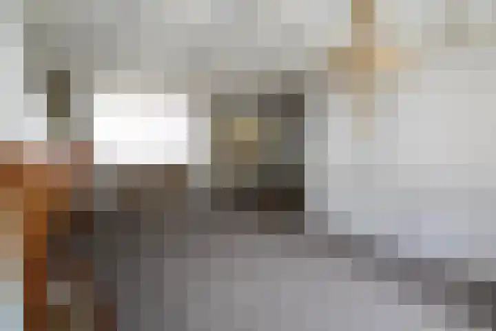 Marijkestraat 17 St. Willebrord thumbnail 6