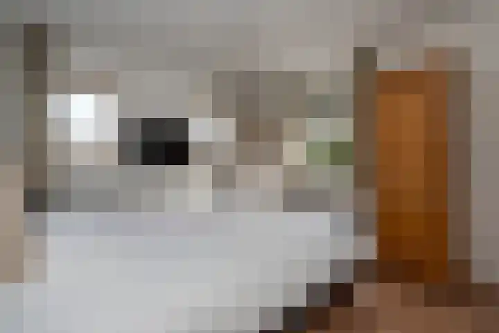 Marijkestraat 17 Veendam thumbnail 18