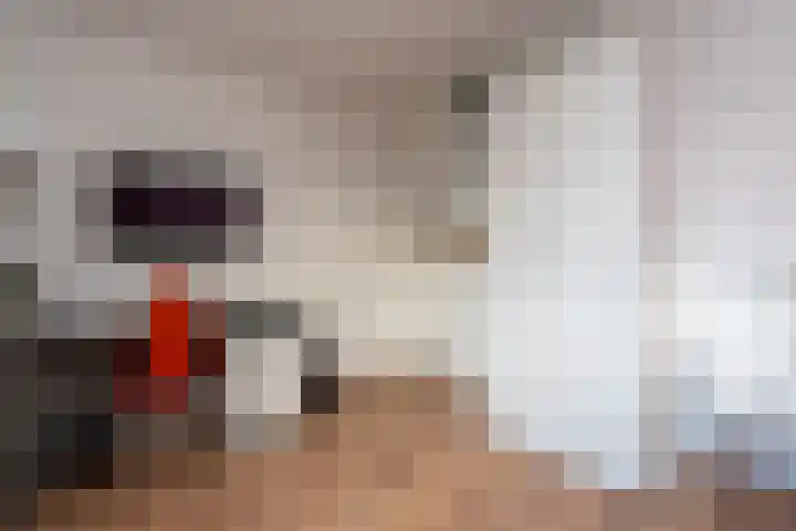 Marijkestraat 17 Veendam thumbnail 21