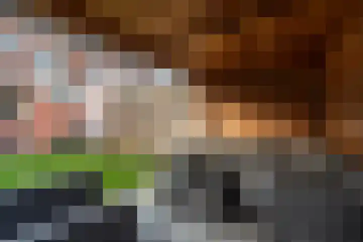 Marijkestraat 17 Veendam thumbnail 37