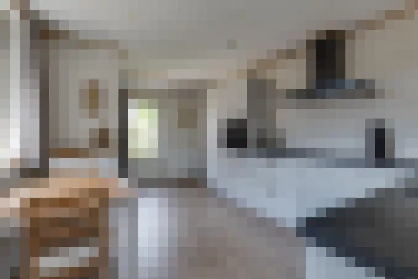 Marijkestraat 19 Dinxperlo thumbnail 10