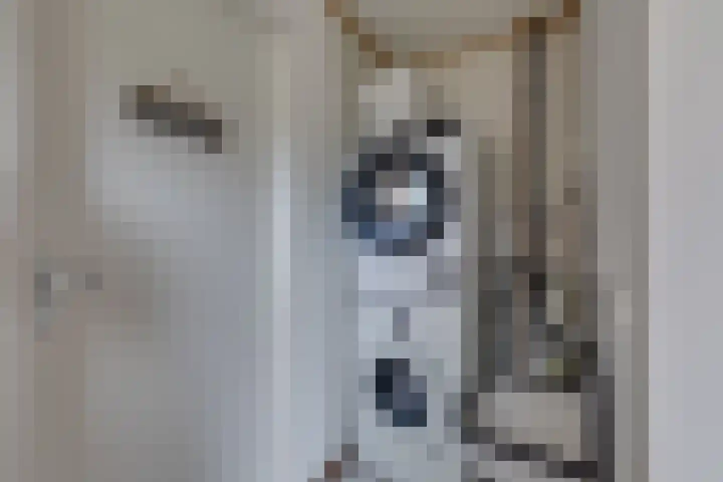 Marijkestraat 19 Dinxperlo thumbnail 13