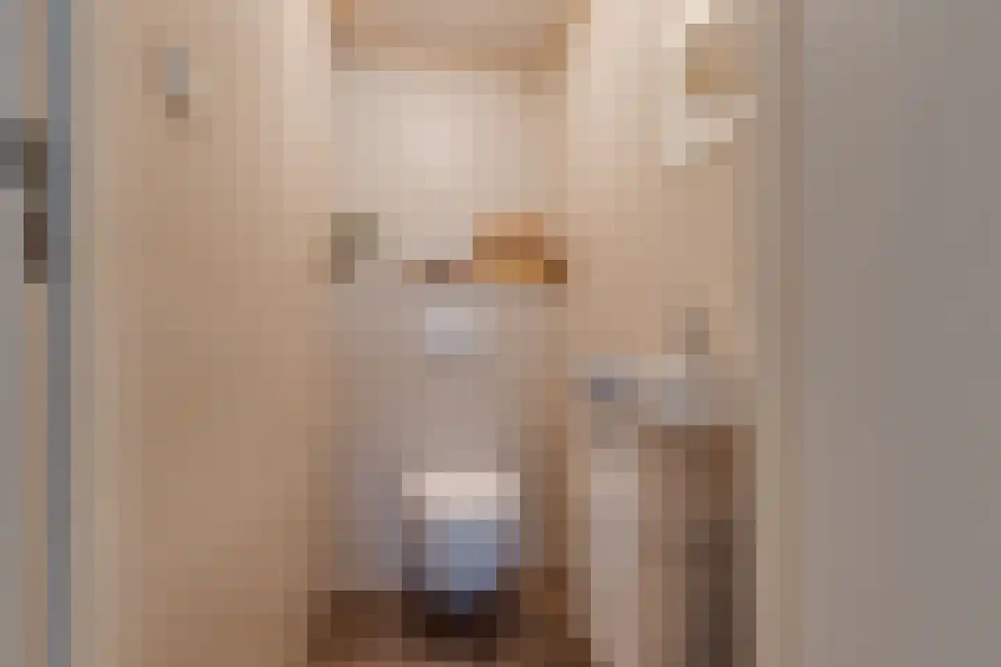 Marijkestraat 19 Dinxperlo thumbnail 15