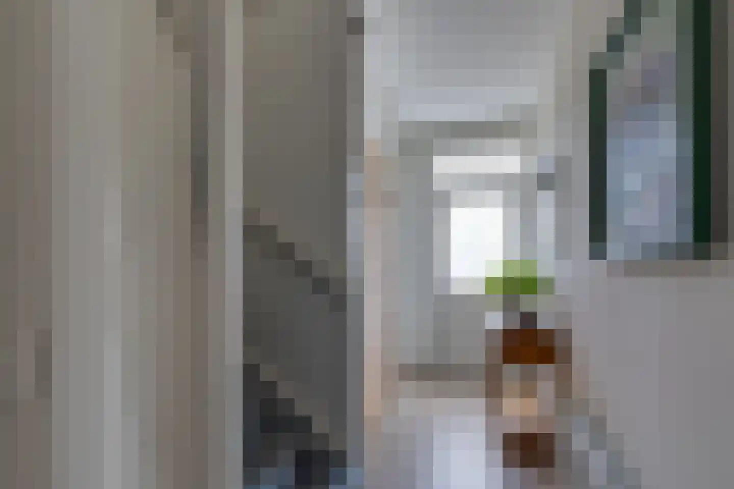 Marijkestraat 19 Dinxperlo thumbnail 16