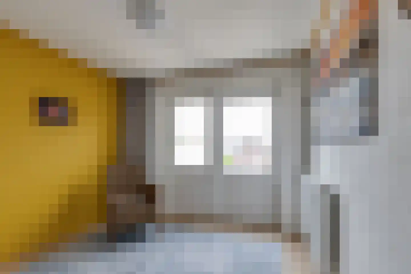 Marijkestraat 19 Dinxperlo thumbnail 22