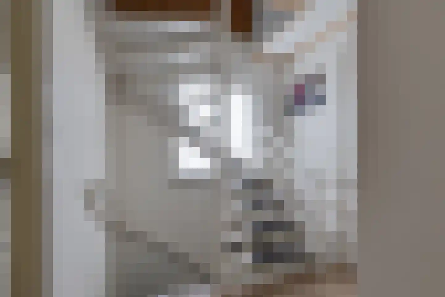 Marijkestraat 19 Dinxperlo thumbnail 25