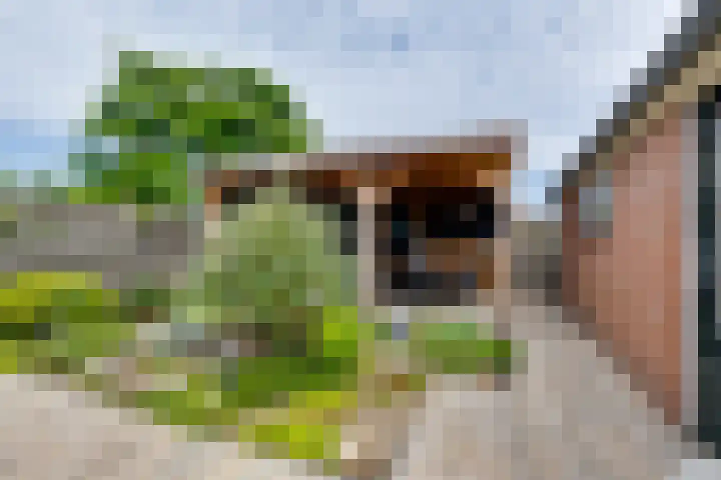Marijkestraat 19 Dinxperlo thumbnail 30