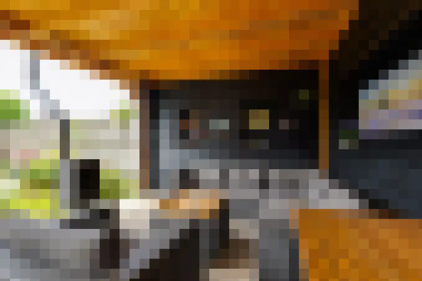 Marijkestraat 19 Dinxperlo thumbnail 32