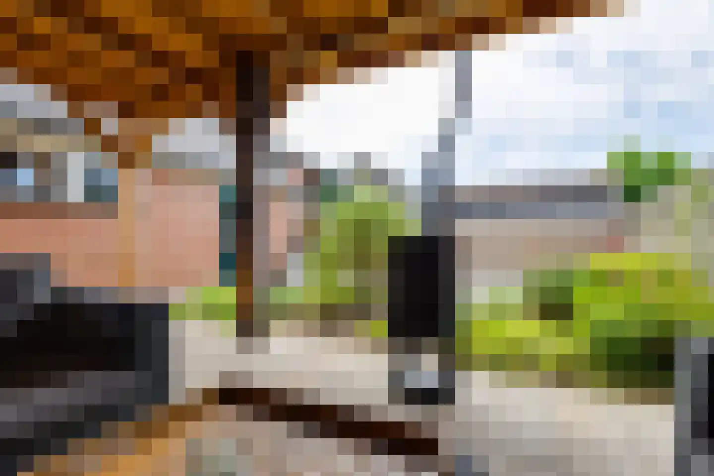 Marijkestraat 19 Dinxperlo thumbnail 33