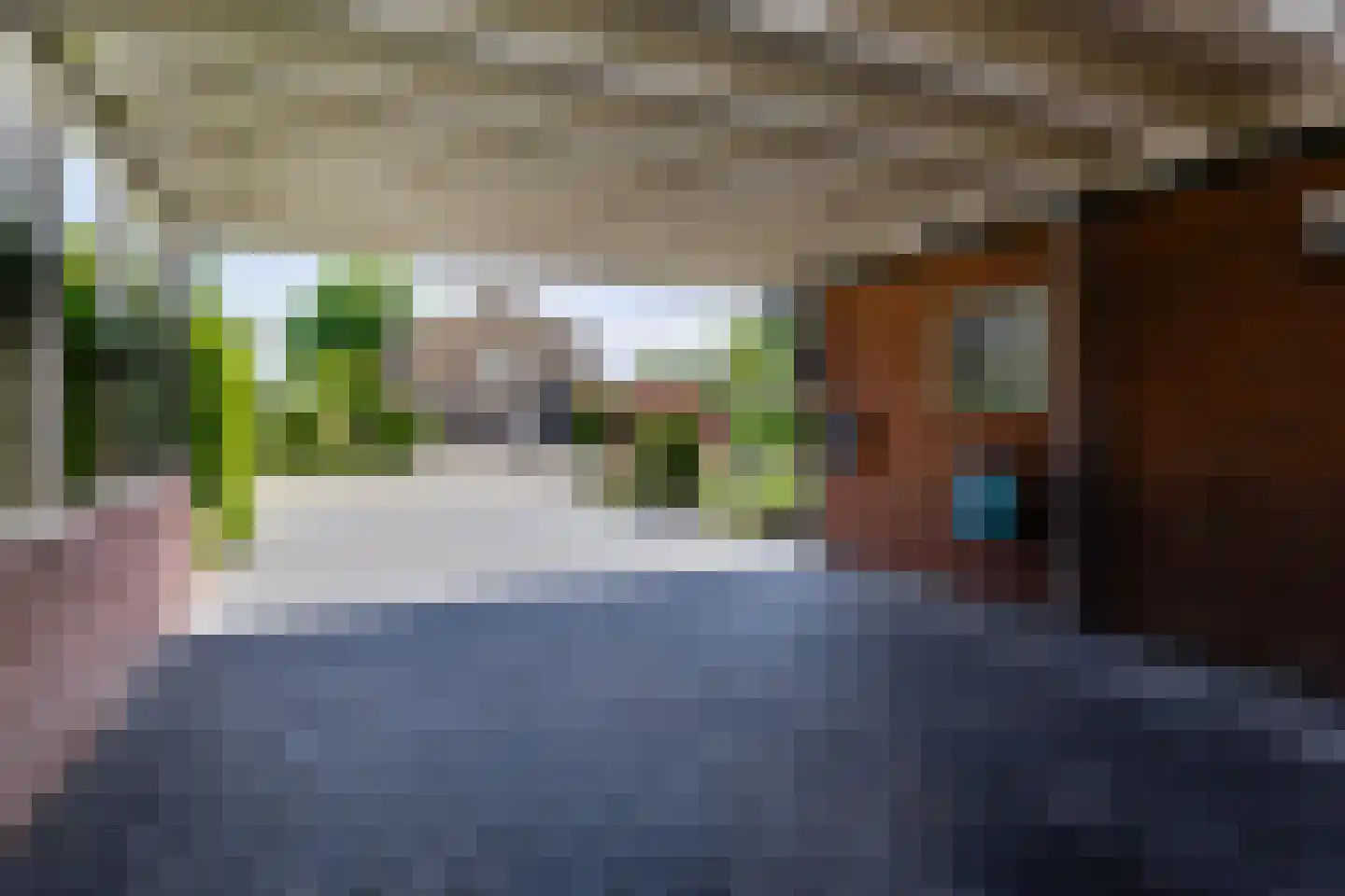 Marijkestraat 19 Dinxperlo thumbnail 35