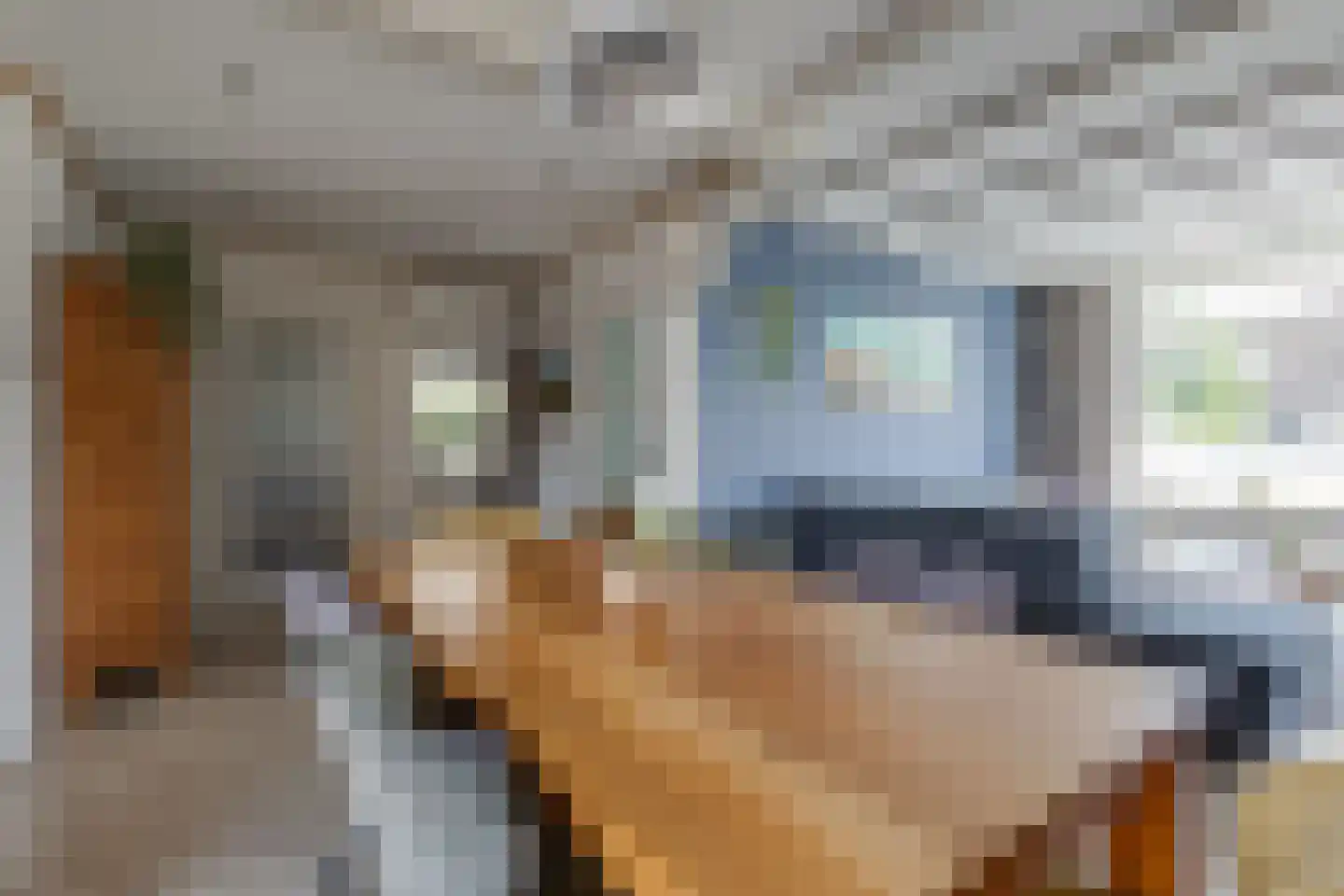Marijkestraat 19 Dinxperlo thumbnail 5