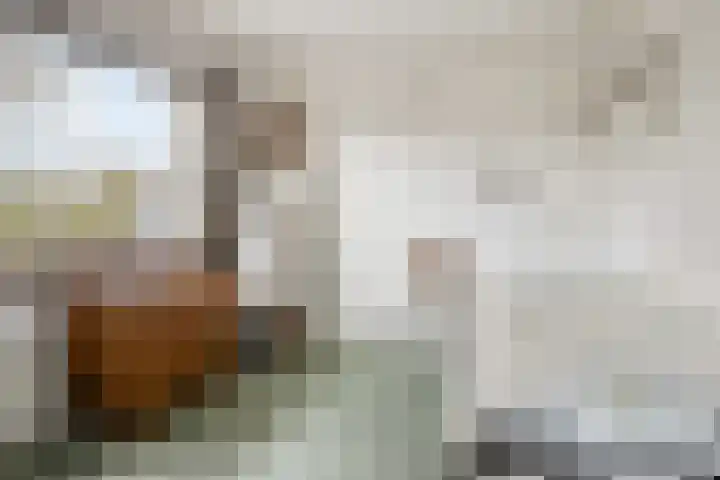 Marijkestraat 19 Ouderkerk aan den IJssel thumbnail 20