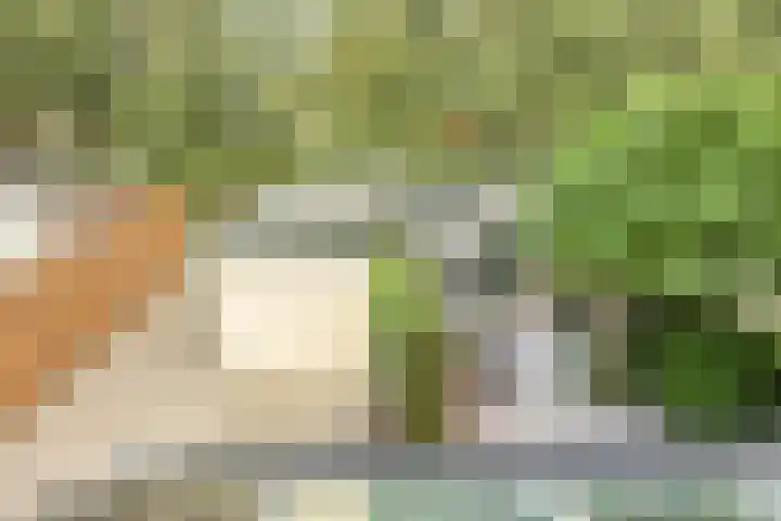 Marijkestraat 19 Ouderkerk aan den IJssel thumbnail 31