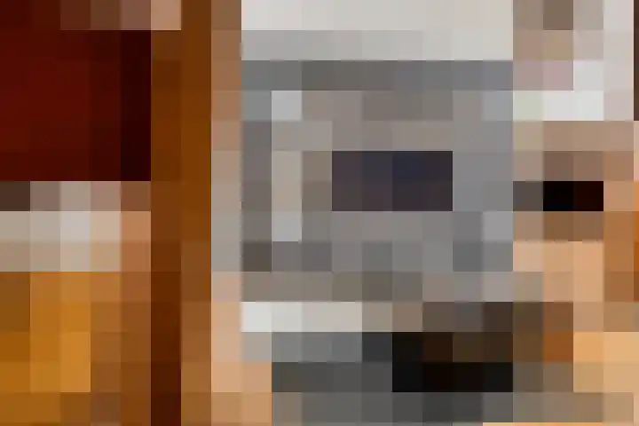 Marijkestraat 19 Ouderkerk aan den IJssel thumbnail 5
