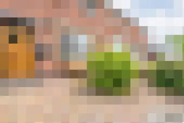 Marijkestraat 19 Rijssen thumbnail 5
