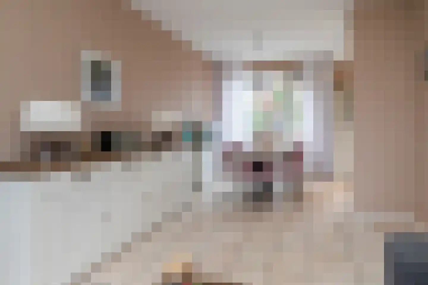 Marijkestraat 2 Poeldijk thumbnail 14