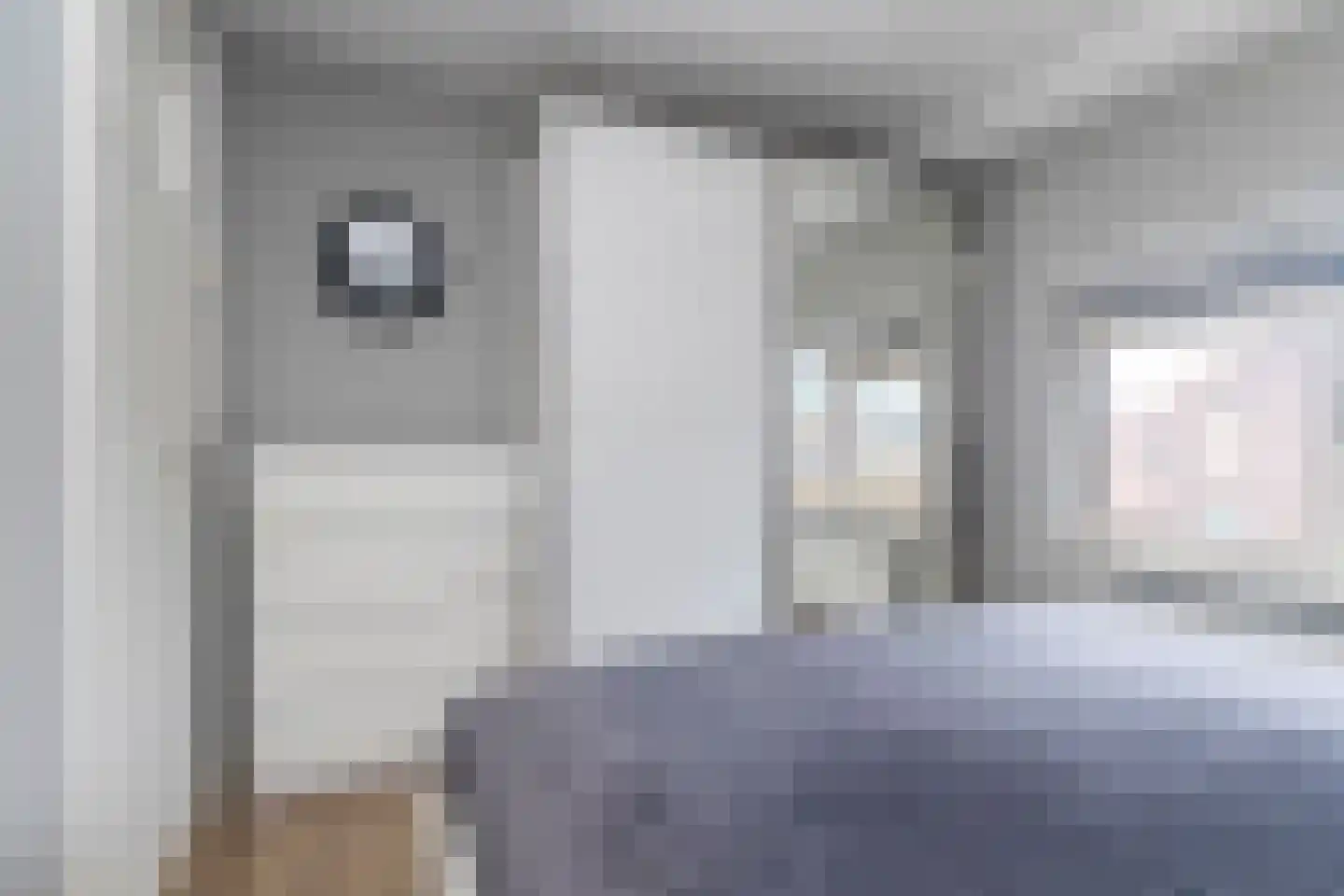 Marijkestraat 2 Poeldijk thumbnail 25