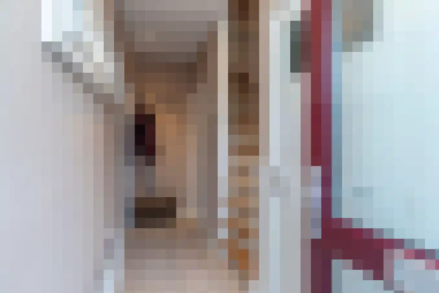 Marijkestraat 2 Poeldijk thumbnail 6