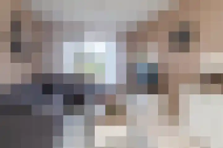 Marijkestraat 2 Poeldijk thumbnail 9