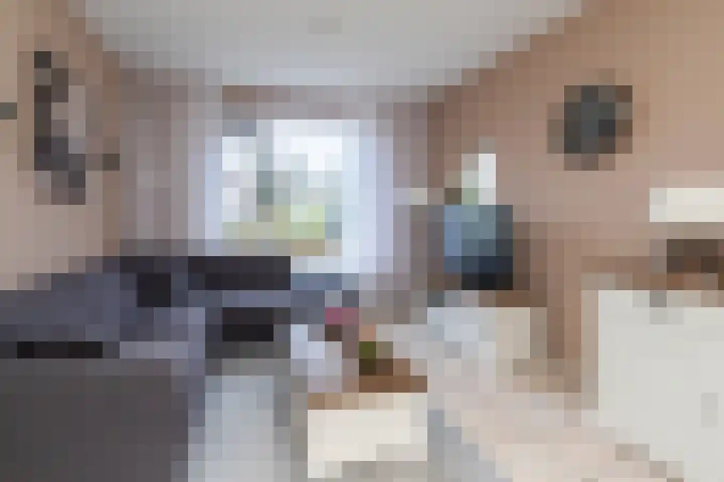 Marijkestraat 2 Poeldijk thumbnail 9